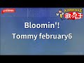 ガイドなし Bloomin Tommy February6 カラオケ 