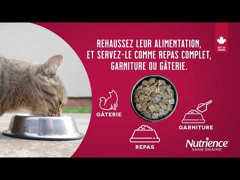 Vidéo: Pro-Pet Rappelle Certains Aliments Secs Pour Chiens Et Chats