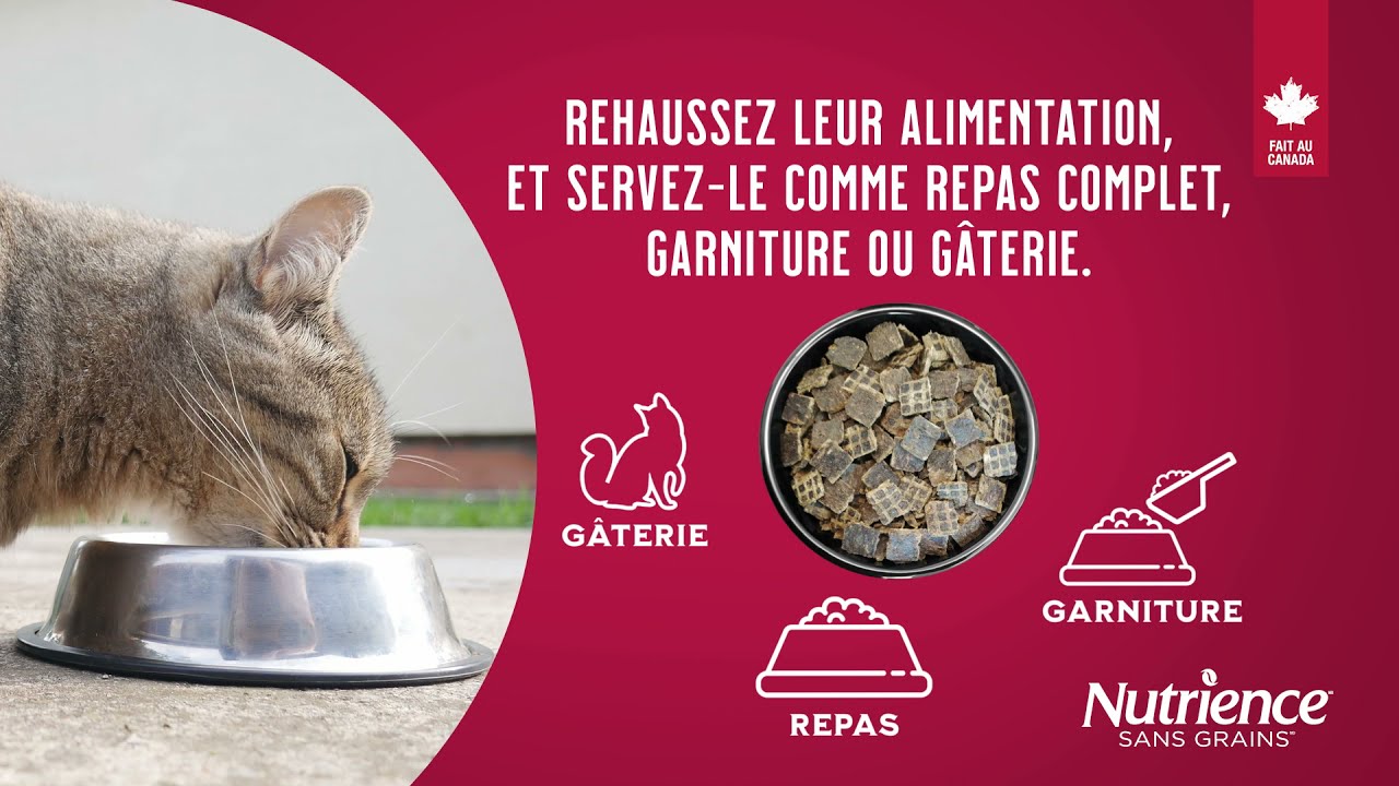 Nourriture Nutrience Sans grains séché à l’air pour chiens et chats