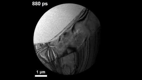 Phonons in WSe2 flake (UEM)