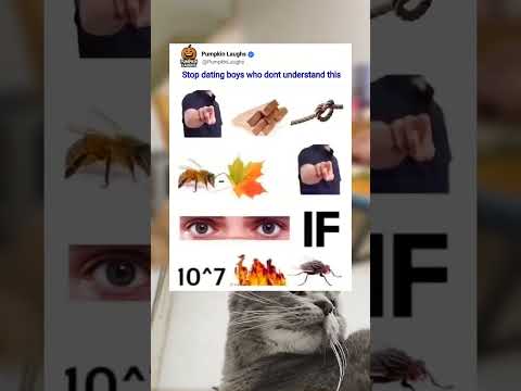 My Brain Just Went From Smart To Scrambled Real Quick