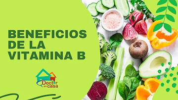 ¿Qué vitamina contiene todas las vitaminas del grupo B?