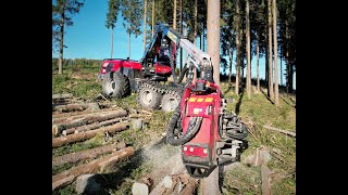 🌲*NEW* Komatsu 951 & C164 • New Head • HarvsterAction • DroneView • Aarman-Puit • Logger • Part-1 🌲