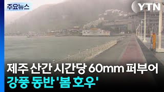 [날씨] 제주 산간 시간당 60mm 퍼부어...강풍 동반 '봄 호우' / YTN screenshot 5
