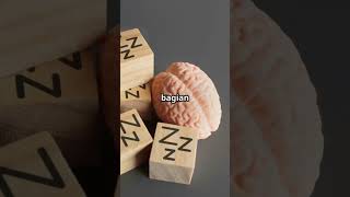 KENAPA KITA LUPA MIMPI SETELAH  BANGUN ?