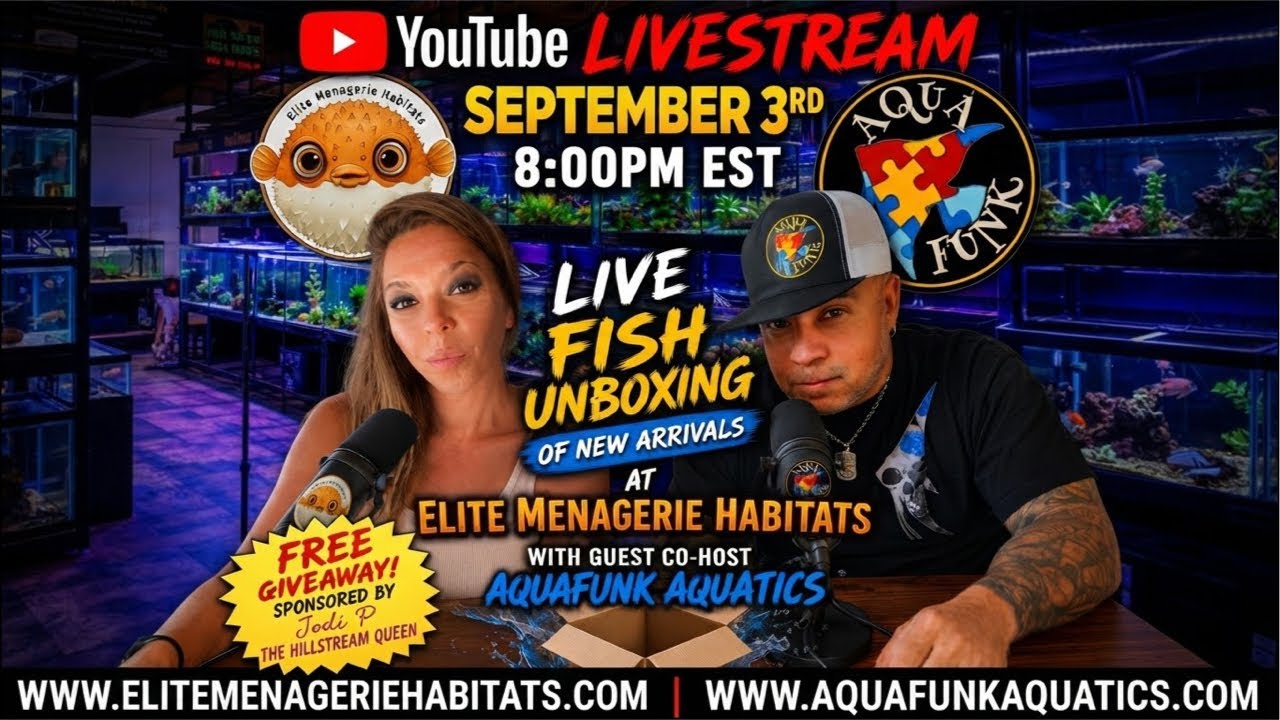 Livestream from Elite Menagerie Habitats with a Free Giveaway and New Fish Unboxing!  Round 2 🥊 🐟