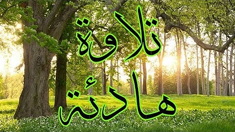 سورة البقرة | بصوت القارئ شريف مصطفى