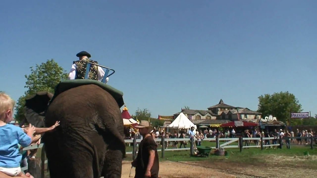Elephant Ride With a Surprise HD - YouTube