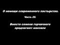 О немощи современного пастырства часть 25 Вместо семени горчичного предлагают маковое