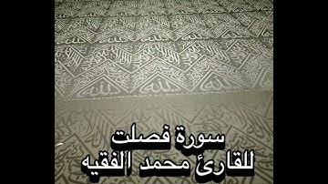 سورة فصلت للقارئ محمد الفقيه