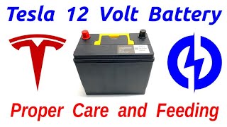 Tesla 12v battery  Proper Care & Feeding
