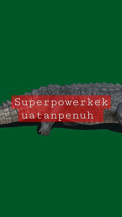 hijau balik layar hijau hewan buaya edit video