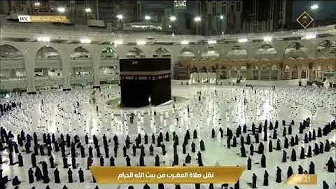 (فبذلك فليفرحوا) مغربية شجية بالكرد من سورة يونس| 23 جمادى الآخر 1442هـ| للشيخ ماهر المعيقلي