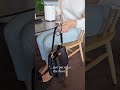 Foldable Purse Hook #shortsfeed