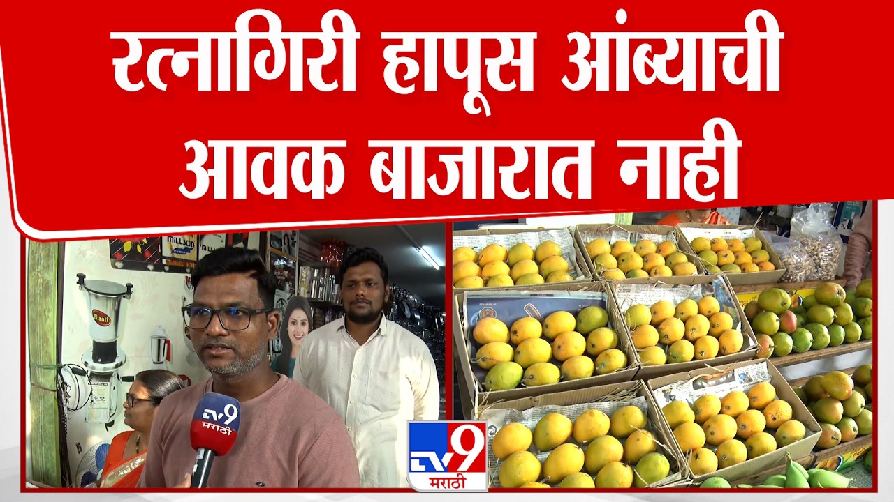 Ratnagiri | Hapus  Mango | रत्नागिरी हापूस आंब्याची आवक बाजारात नाही