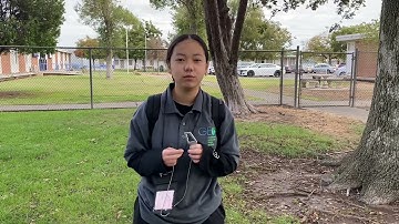 How to Measure the Density of a Stand