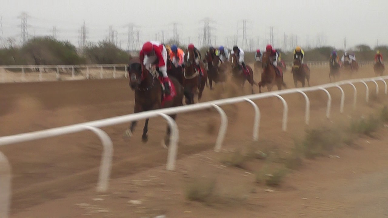 ج19 الجواد السلم