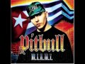 Pitbull dammit man bass boost mp3