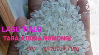 lagu tialo tomini(taba,a boda nomongi