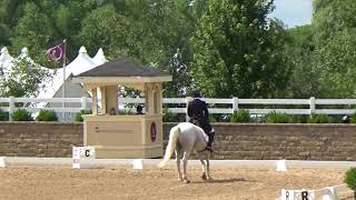 Trout Ranch Malarkey - NDPC 2018, PSG Highlights