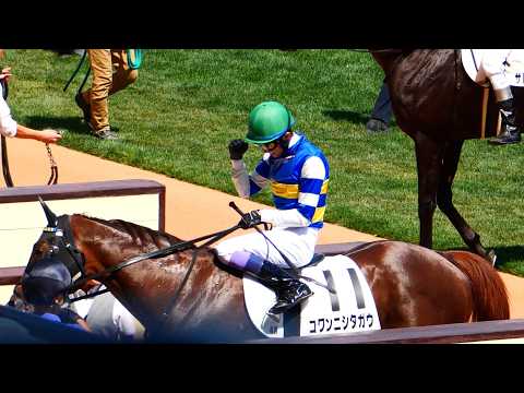 珍しく未勝利戦でガッツポーズ！やったな！と首を叩かれブヒっ♥となるコワンニシタガウ