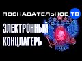 Почему в России отменили роуминг? Электронный концлагерь (Познавательное ТВ, Артём Войтенков)