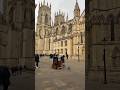 Street musician makes music near York Minster🏴󠁧󠁢󠁥󠁮󠁧󠁿 #england #york #travel #funnyshorts #uk