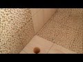 PISO NO BANHEIRO COM UM ACABAMENTO PERFEITO E COM DESTA CUSTANDO MUITO BARATO