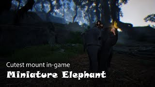 Getting cutest elephant alive | Commentary guide | BDO