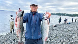 Pink salmon fishing from the bank 08/22/2023 - How to fish for pink salmon from the beach at PNW