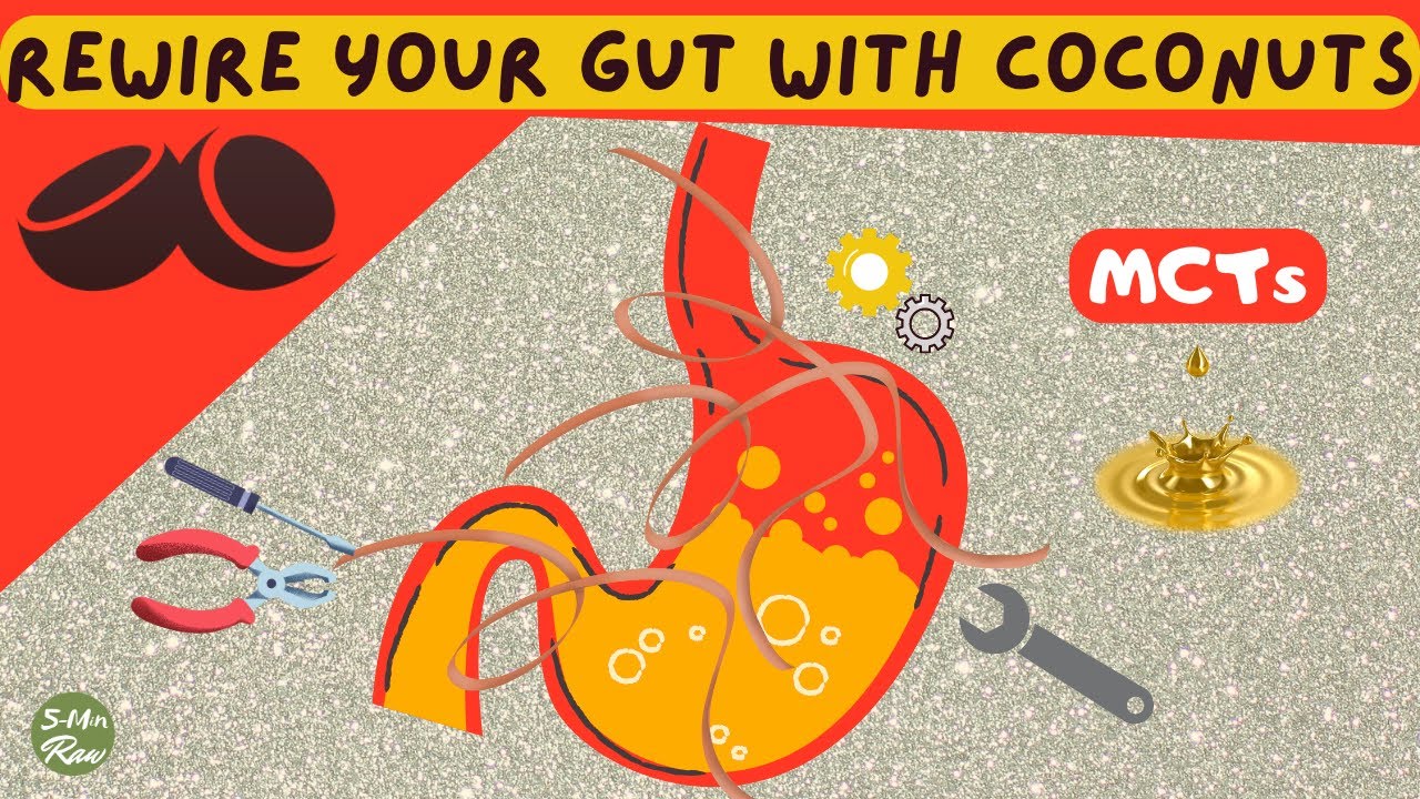 coconut-health-benefits-solved-how-mcts-rewire-the-gut-youtube