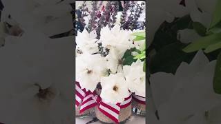Easy Red White and Blue Mason Jar vases