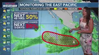 Maui Wildfire Update