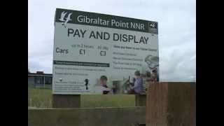 Gibraltar Point Nature Reserve 4 of 11