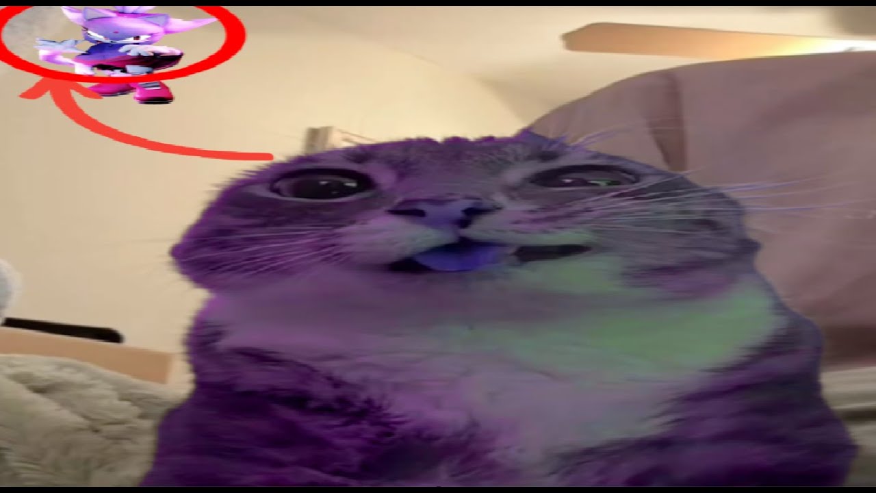 The great Blaze Compilation | Outcome Memories