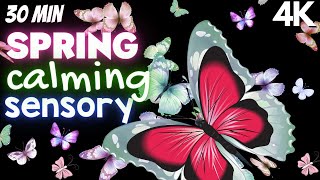 4k-Autism Calming Sensory Relaxing Butterfly Visuals