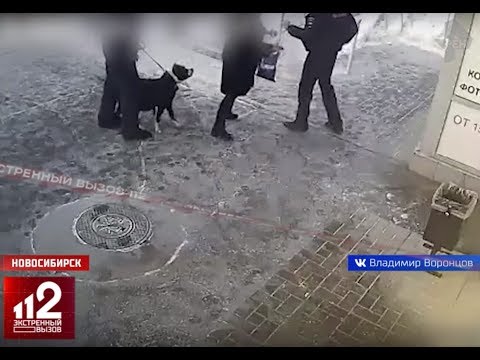 Полицейский VS Бойцовская собака. Начало скандального конфликта попало на видео!