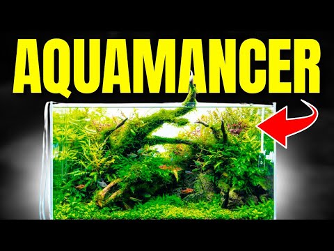Your Favorite Aquarium Brand Is Telling On You