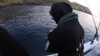 Sea Strike 16 'Fin Finder'