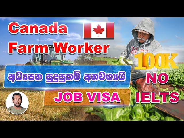 Canada Farm Worker 2021 | Agriculture Jobs in CANADA | NO IELTS Needed | SL TO UK