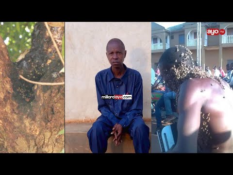 Video: Muigizaji wa filamu na ukumbi wa michezo: Sinema ya kisasa inaharibu wanawake