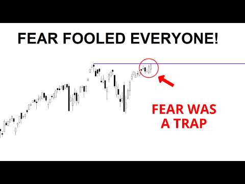 Video preview for Join the 5% Project: https://thefinancehydra.com/the5project