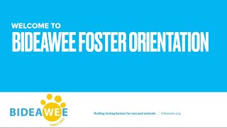 Bideawee Foster Care Orientation