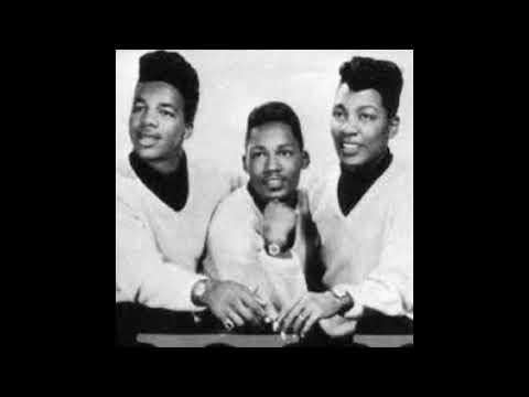Day Tripper - Vontastics - 1966