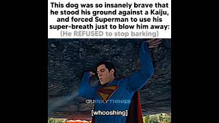 Superman SAVED that KAIJU from THIS DOG😭🙏🏻The dog barking at a Kaiju #superman #dog #4k