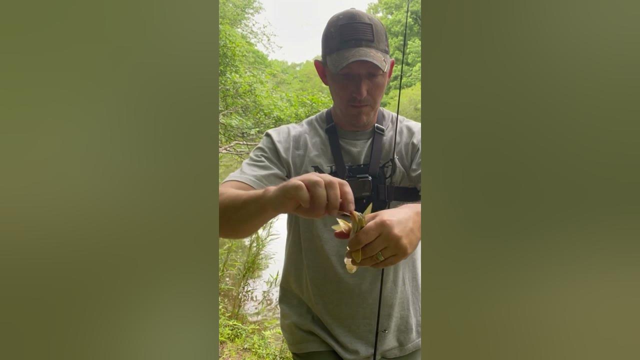 Catfishing With Red Worms YouTube