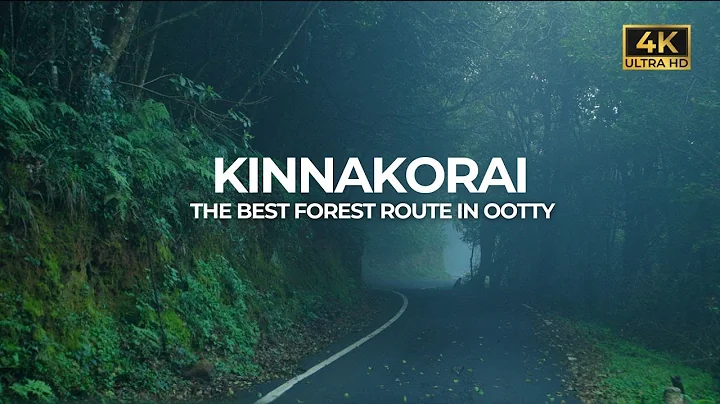 Kinnakorai | Ootty Forest Route | The Last Village In Nilgiri | Vlog#92 thumbnail