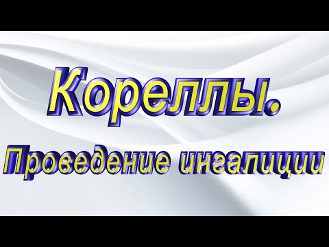 #Кореллы. Лечение простуды, проведение ингаляции