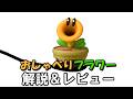おしゃべりフラワー　解説＆レビュー