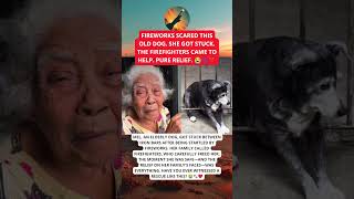 FIREFIGHTERS RESCUED AN OLD DOG STUCK IN BARS. THE FAMILY'S RELIEF WAS EVERYTHING. 😭🐾